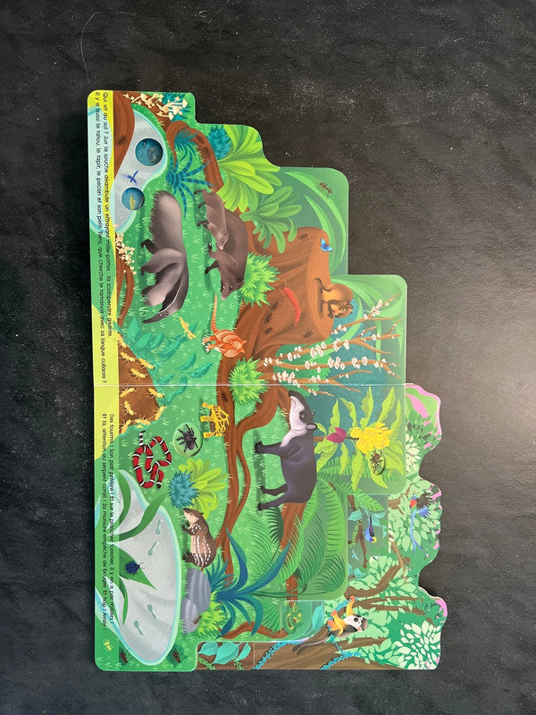 Un monde secret dans la jungle