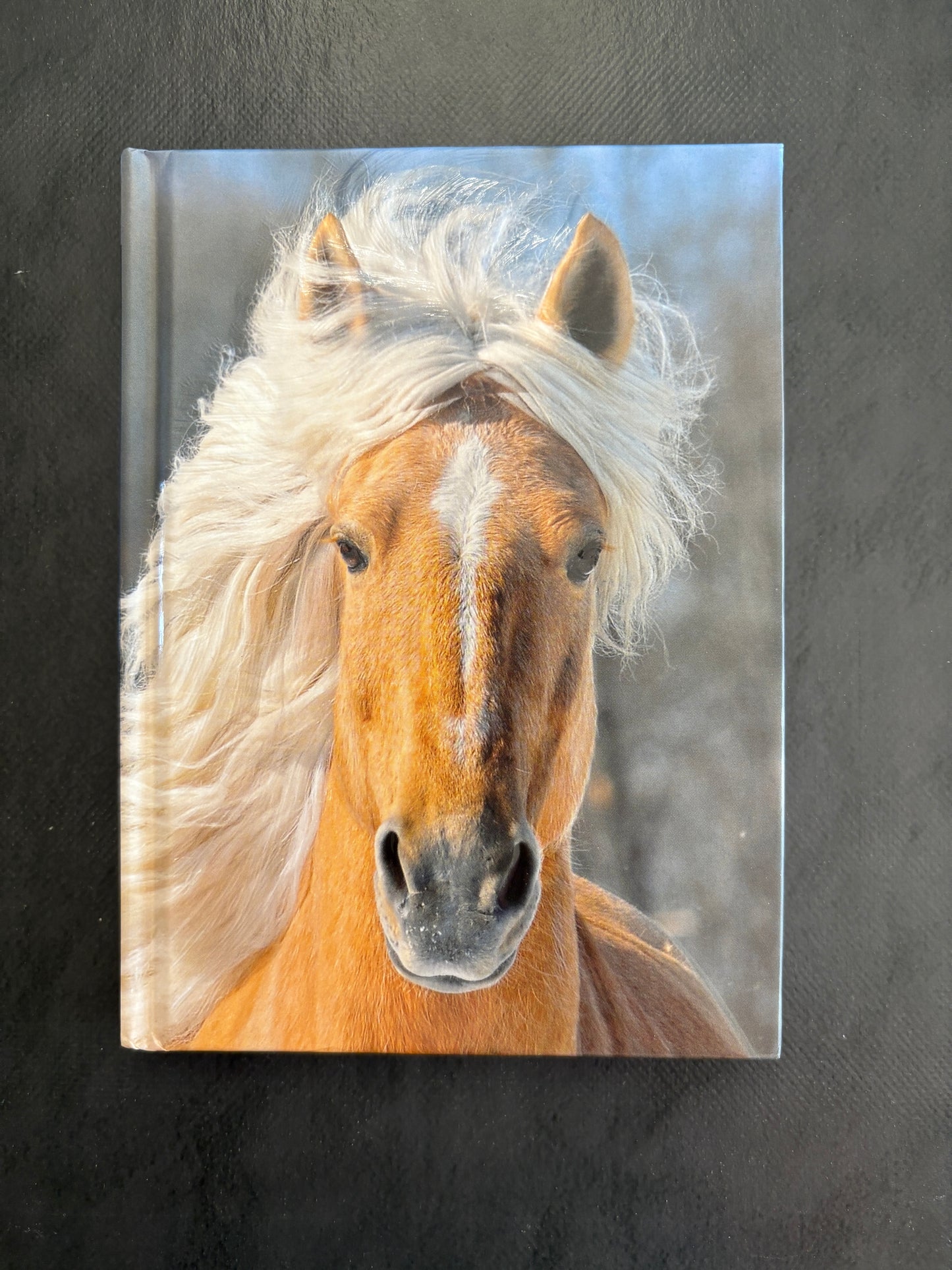 Carnet de notes - cheval