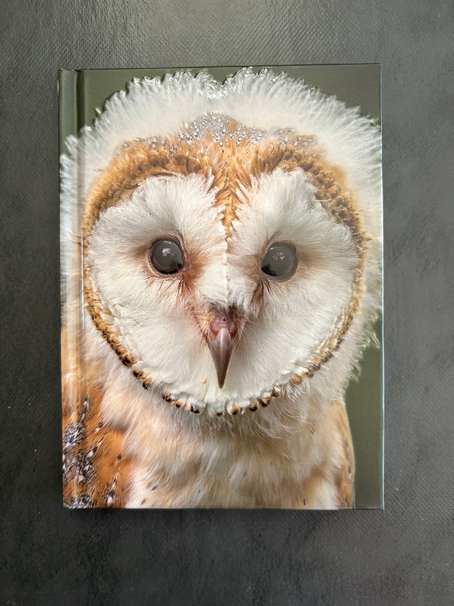 Carnet de notes - chouette