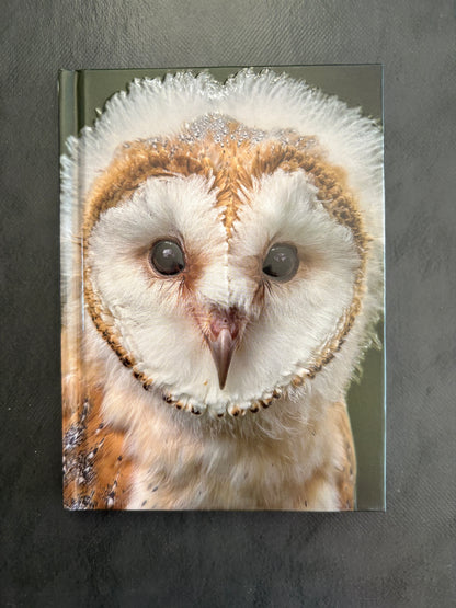 Carnet de notes - chouette