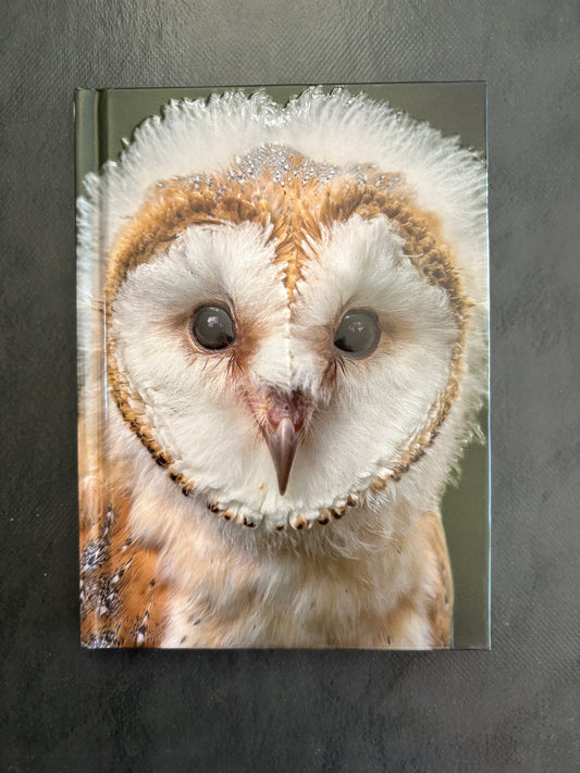 Carnet de notes - chouette