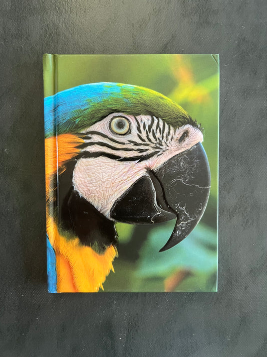 Carnet de notes - perroquet