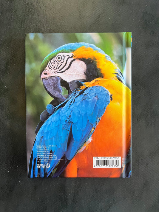 Carnet de notes - perroquet