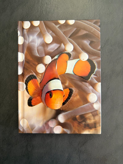 Carnet de notes - poisson clown