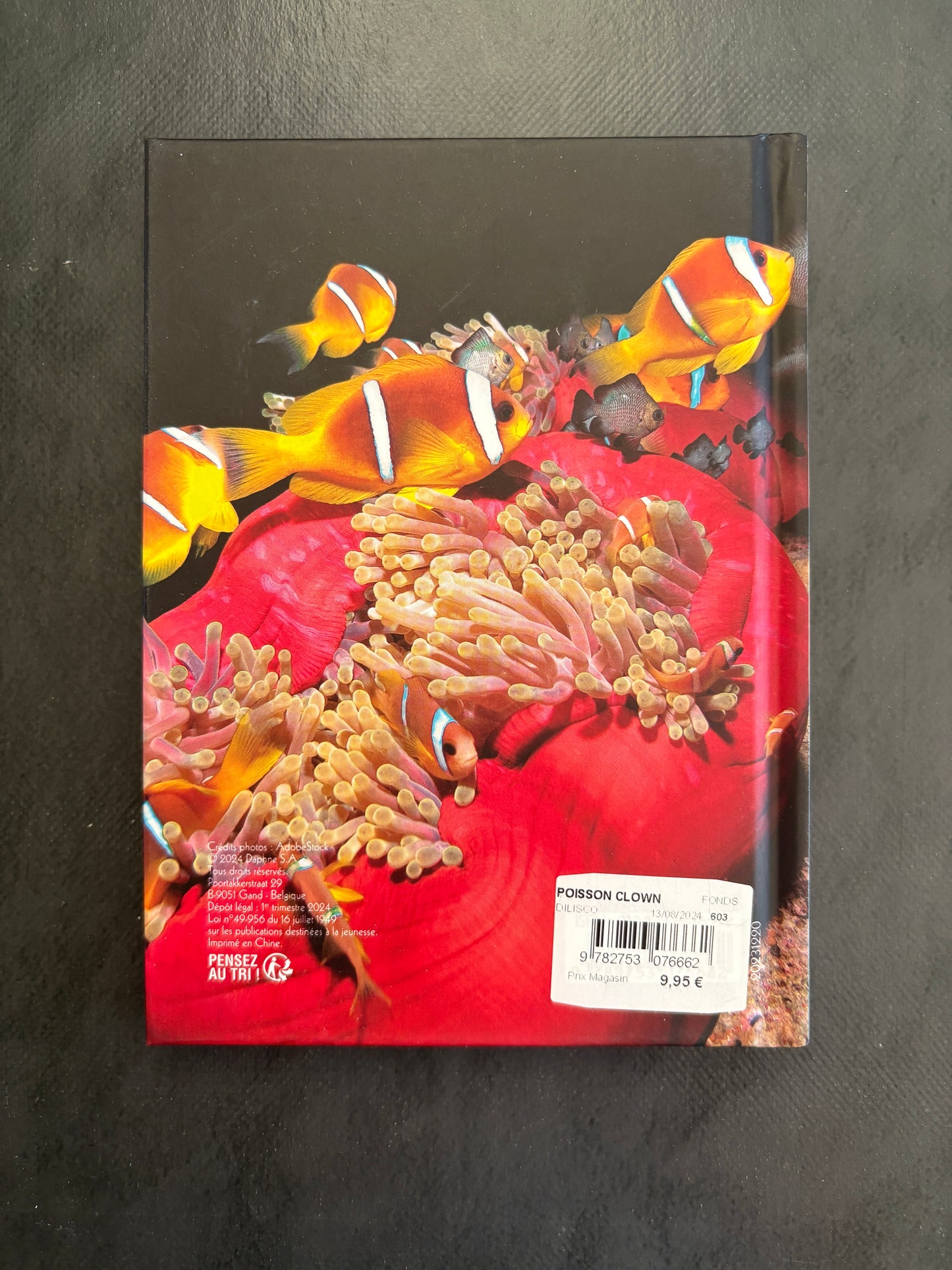 Carnet de notes - poisson clown