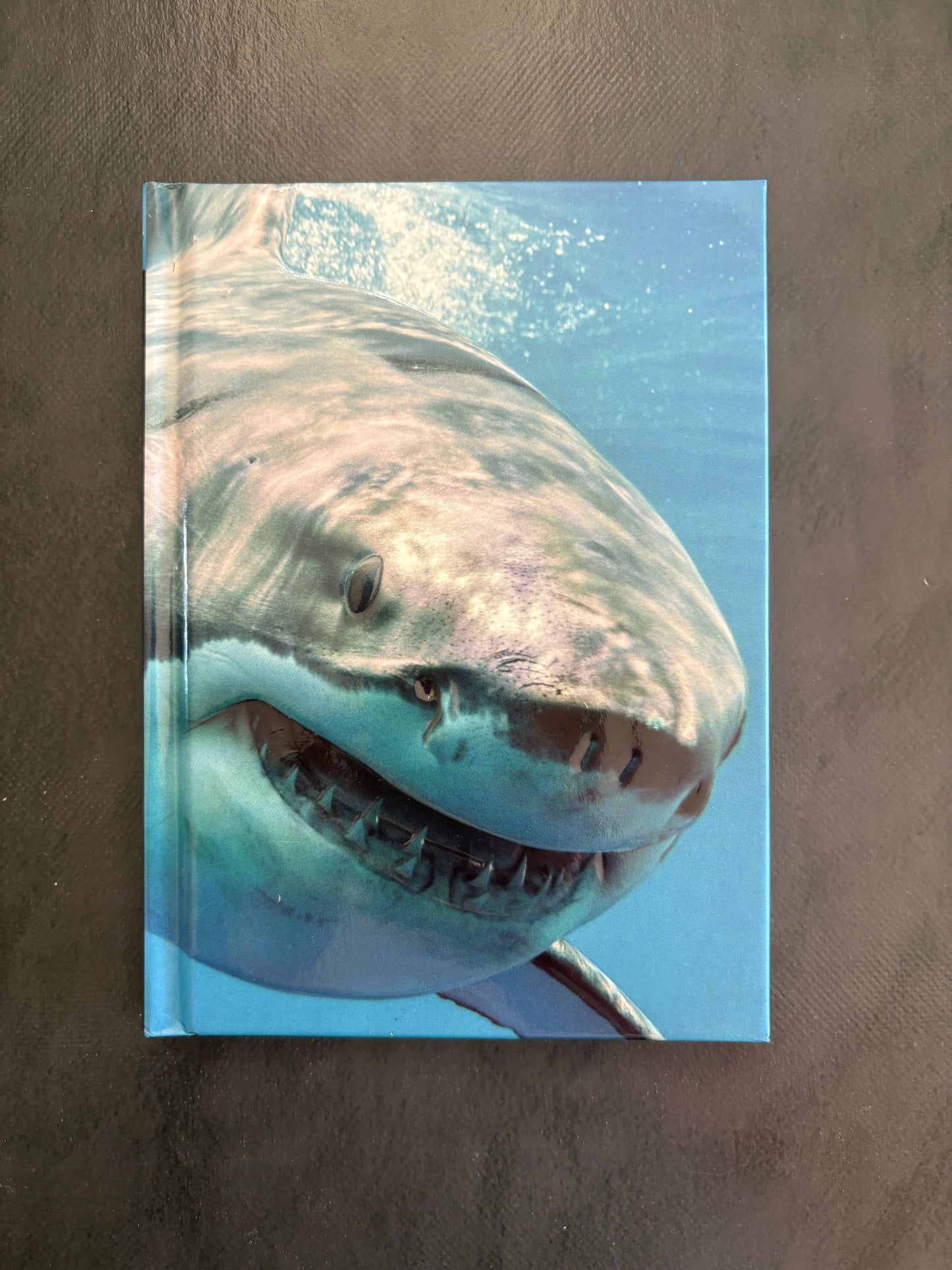 Carnet de notes - requin