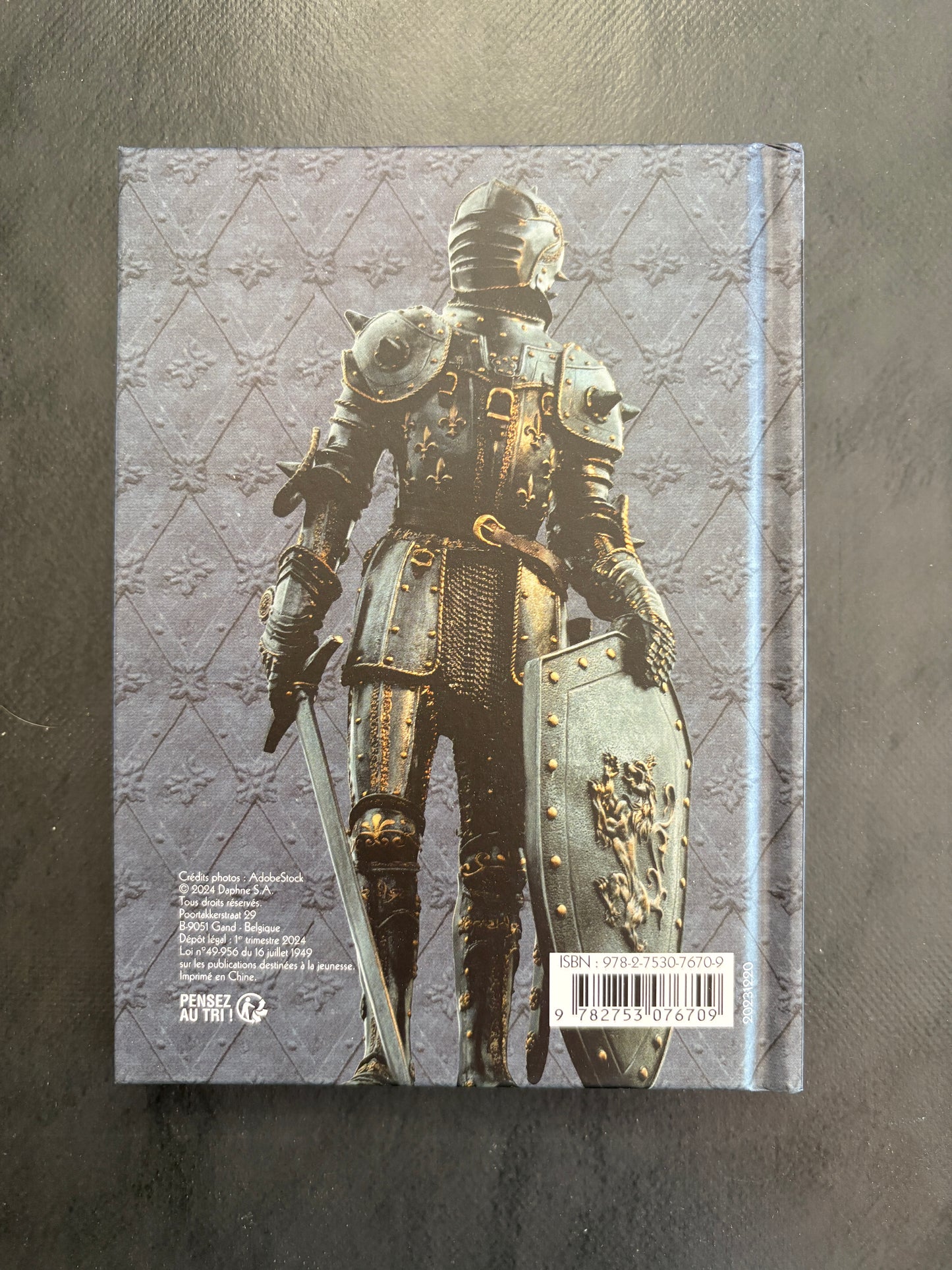 Carnet de notes - chevalier