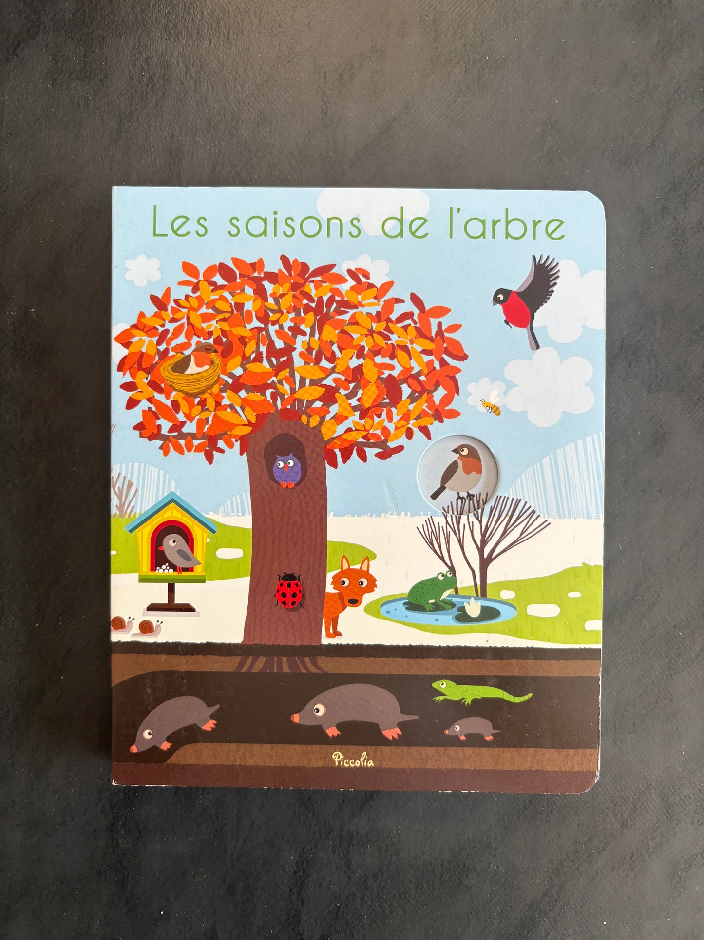 Livre cartonné - les saisons de l'arbre