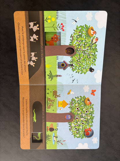 Livre cartonné - les saisons de l'arbre