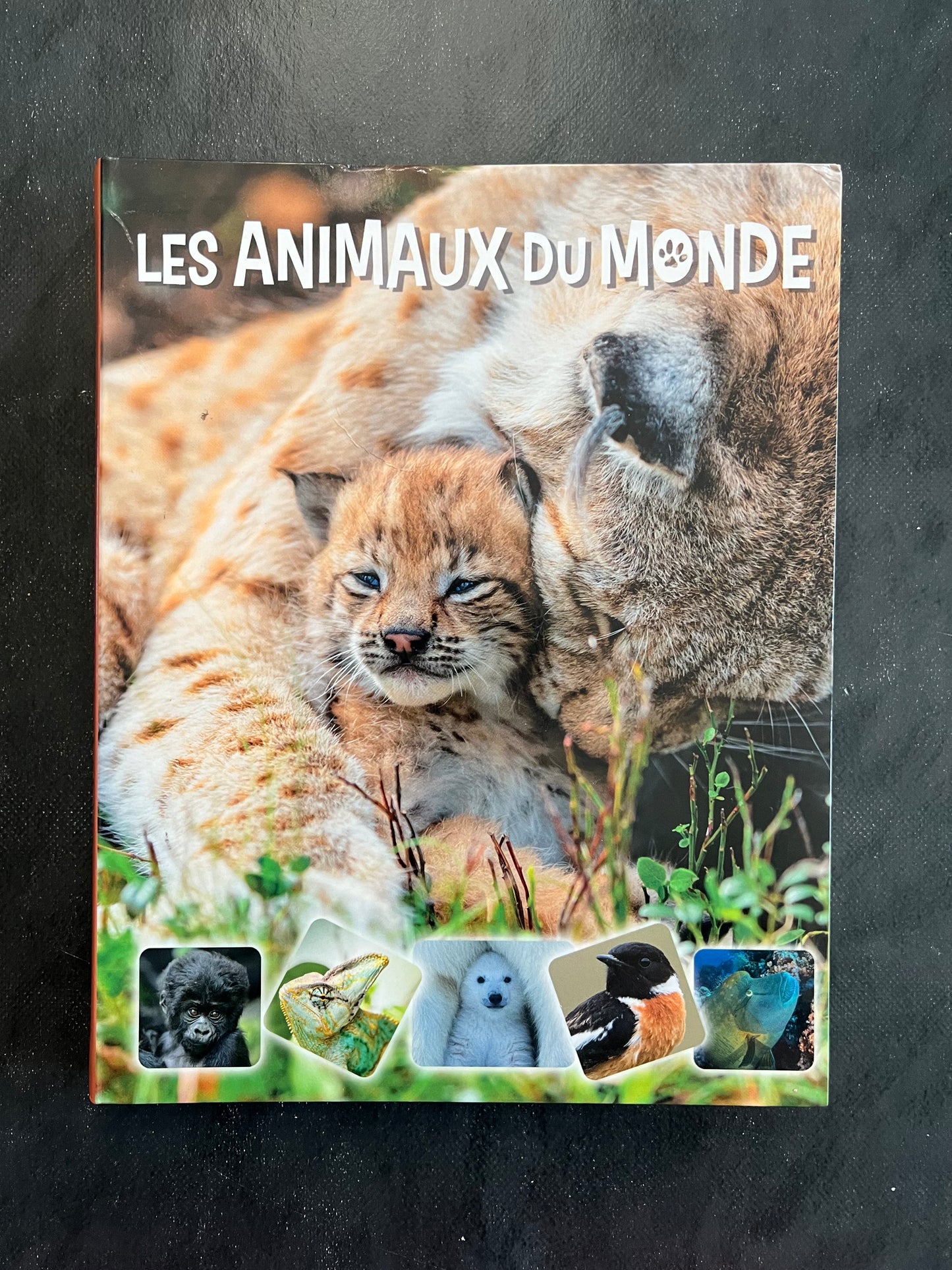 Livre - les animaux du monde