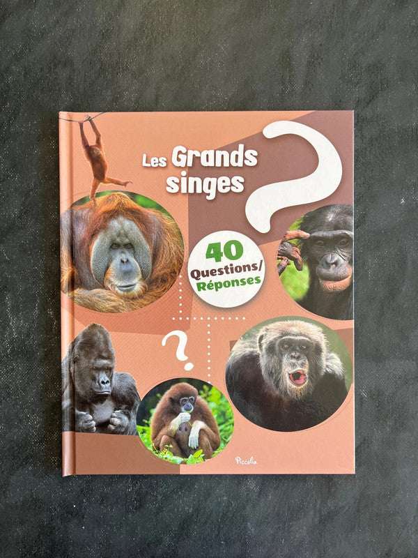 40 questions/réponses - les singes