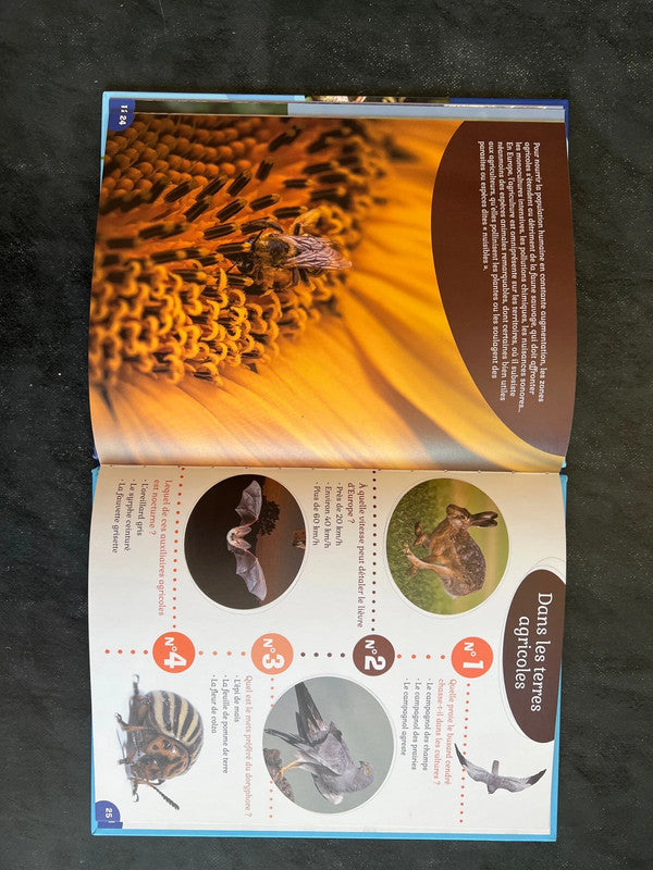 40 questions/réponses - les animaux d’Europe