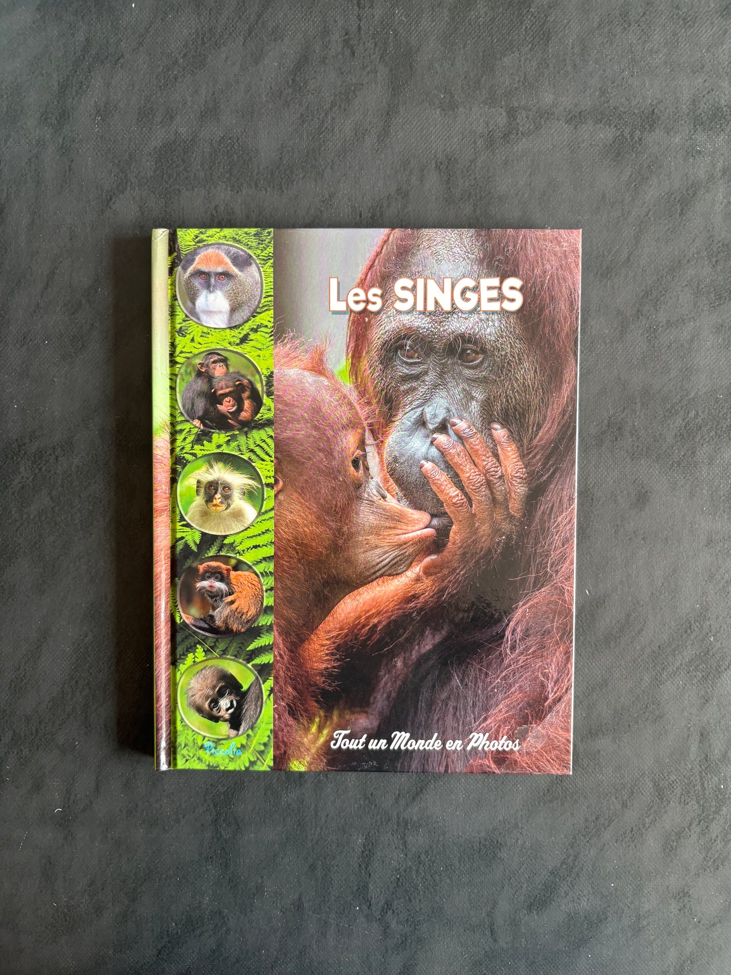 Tout un monde en photos - les singes