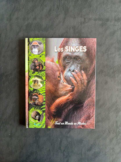 Tout un monde en photos - les singes