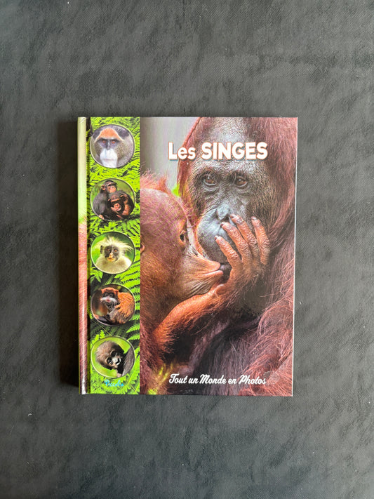 Tout un monde en photos - les singes
