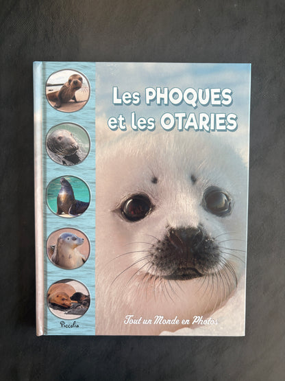 Tout un monde en photos - les phoques et les otaries