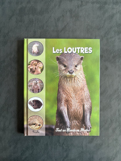 Tout un monde en photos - les loutres