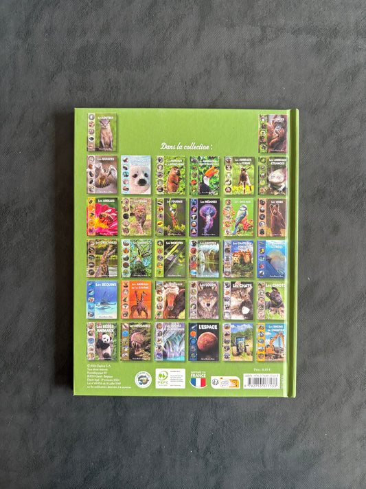 Tout un monde en photos - les loutres