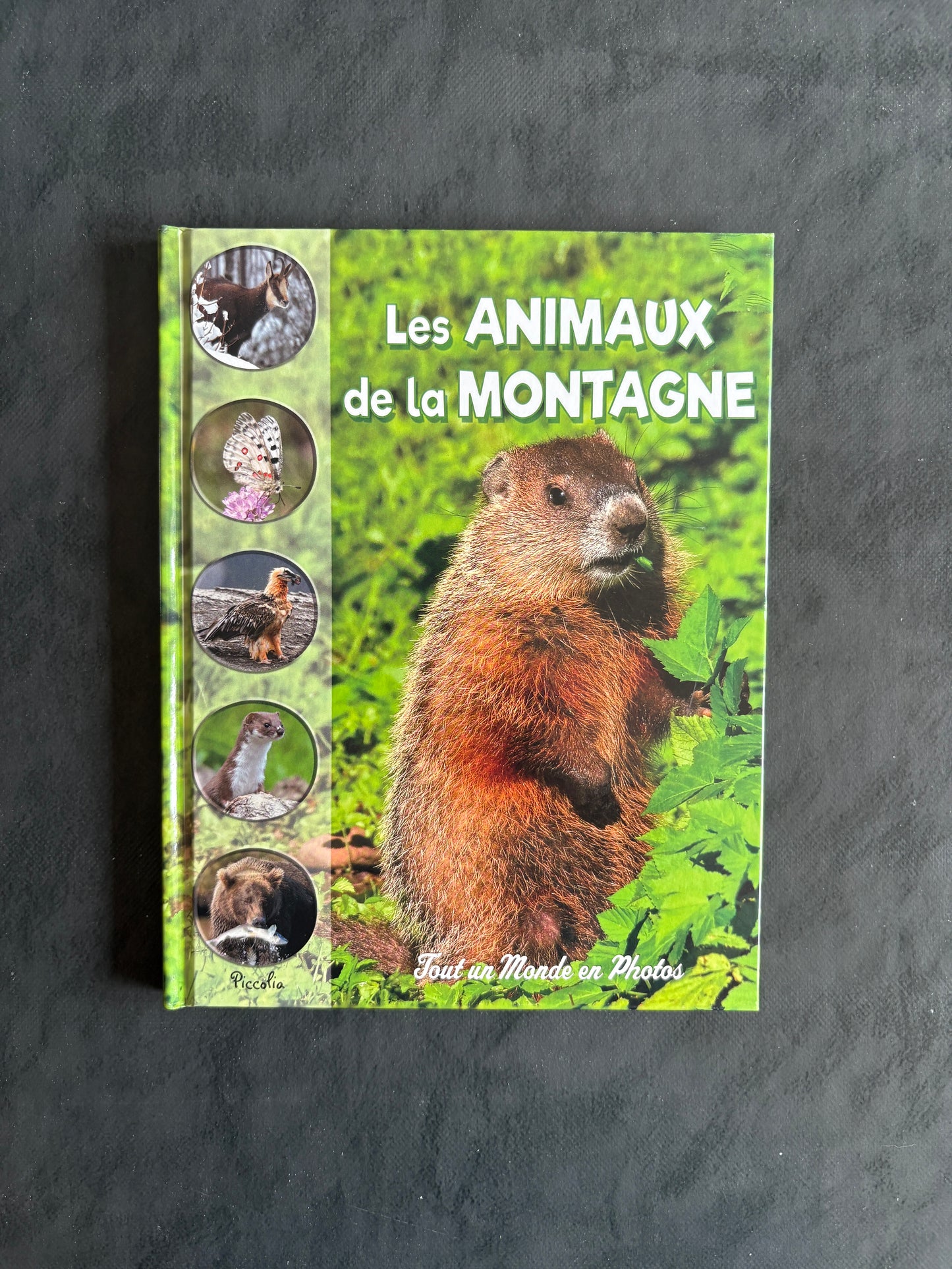 Tout un monde en photos - Les aminaux de la montagne