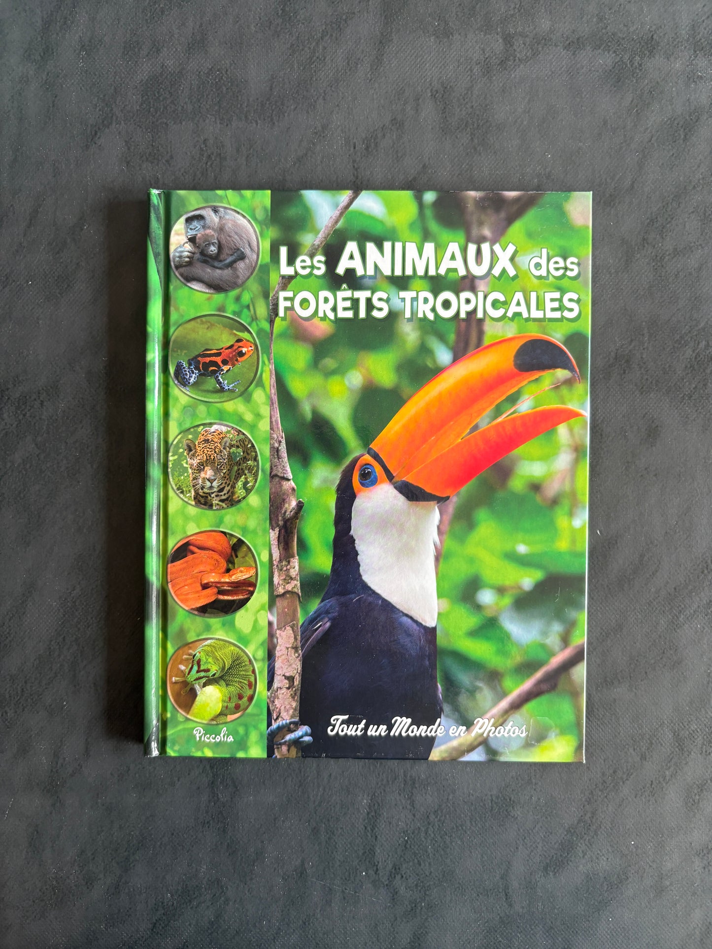 Tout un monde en photos - les animaux de la forêt