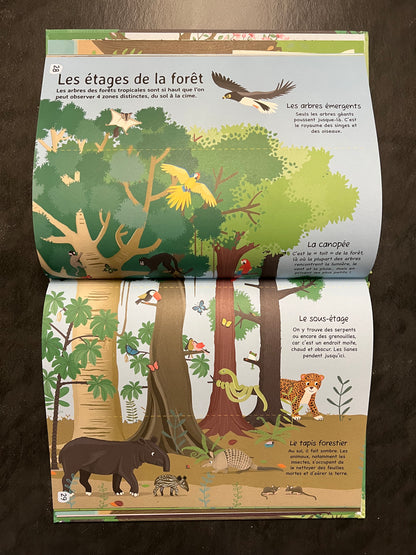 Livre - les arbres