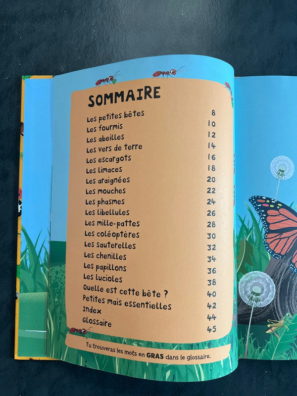 Mon premier documentaire - les insectes