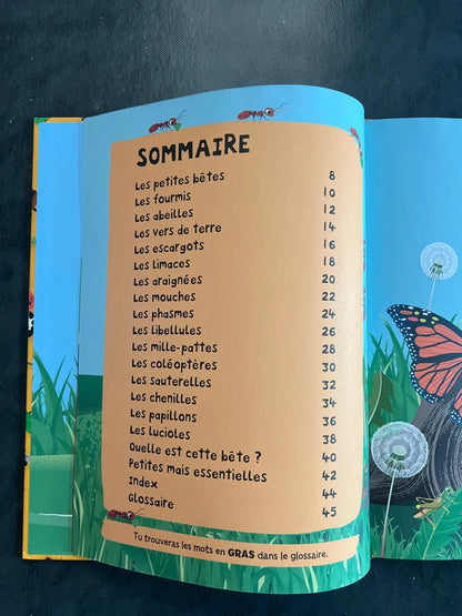 Mon premier documentaire - les insectes