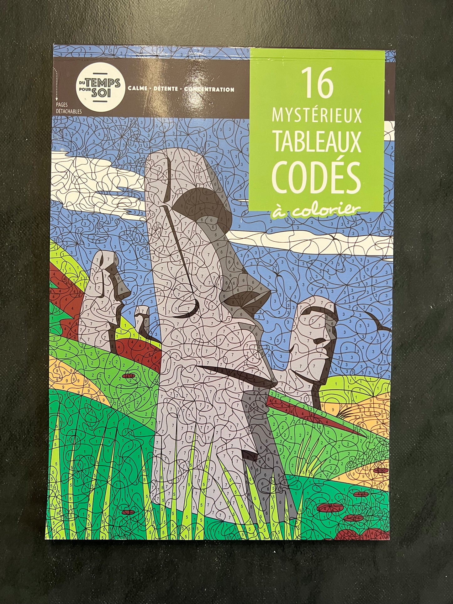 16 mystérieux tableaux codés