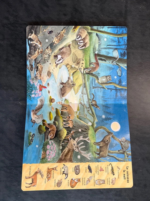 Regarde et découvre - près de l’eau