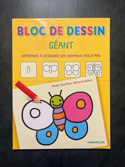 Bloc de dessin géant