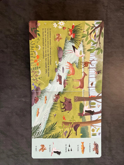 Mon premier cherche et trouve - les animaux près de l’eau