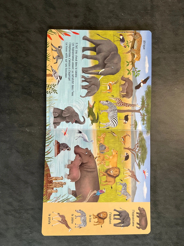 Mon premier cherche et trouve - les animaux autour du monde