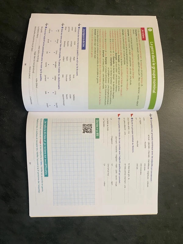 Mon gros cahier de dictées