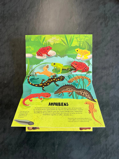 La nature en pop-up ! - dinosaures vivants