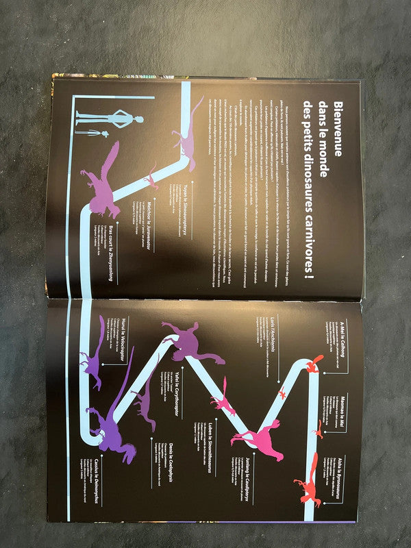 Petits dinosaures carnivores