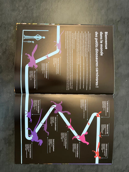 Petits dinosaures carnivores