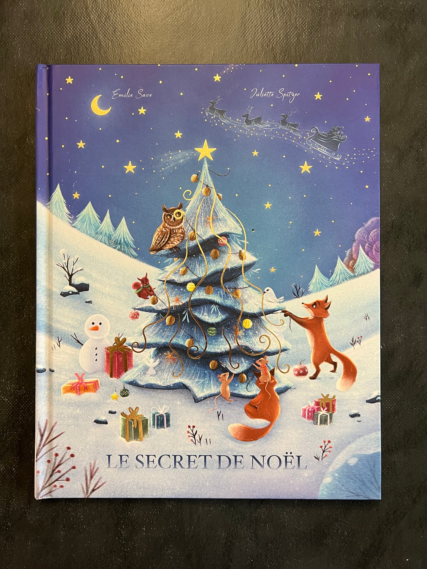 Le secret de Noël