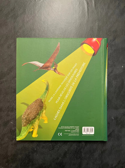 Lanterne magique - pars à la recherche des dinosaures