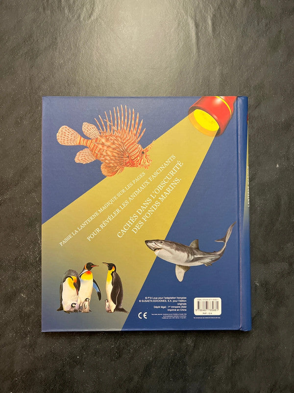 Lanterne magique - plonge à la découverte des animaux de la mer