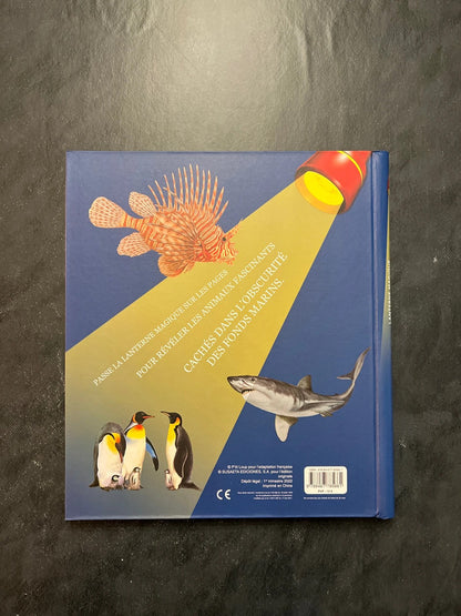 Lanterne magique - plonge à la découverte des animaux de la mer
