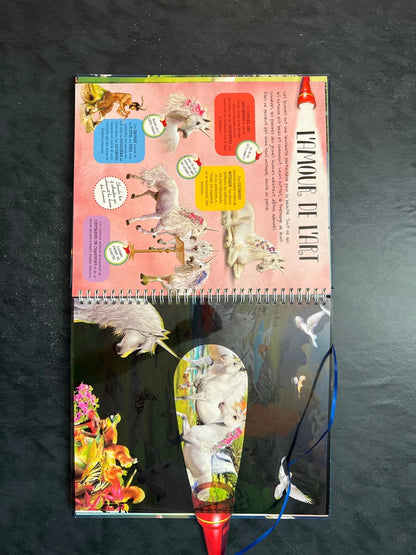 Lanterne magique - pars à la recherche des licornes