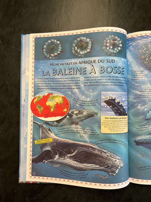 Atlas des océans - à la découverte du monde marin