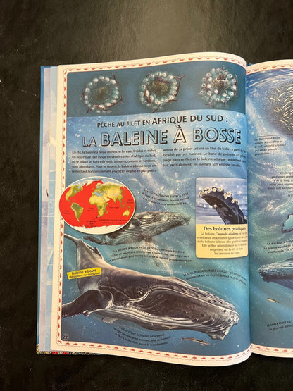 Atlas des océans - à la découverte du monde marin