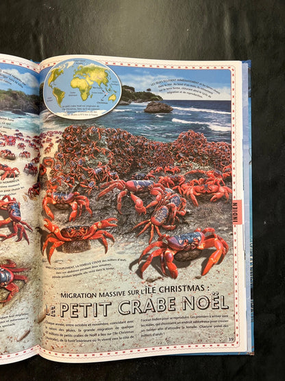 Atlas des océans - à la découverte du monde marin