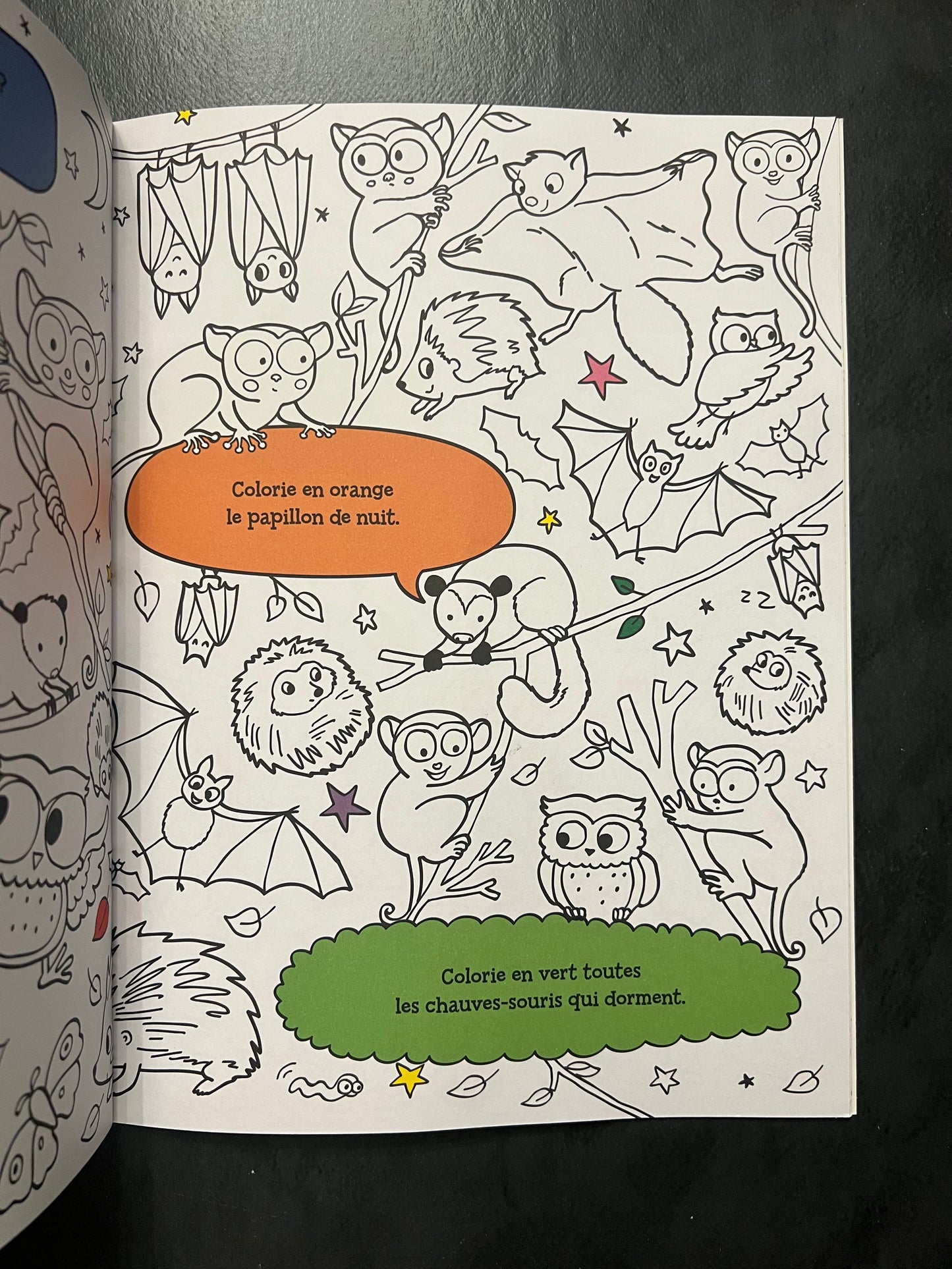 Cherche et colorie - les animaux