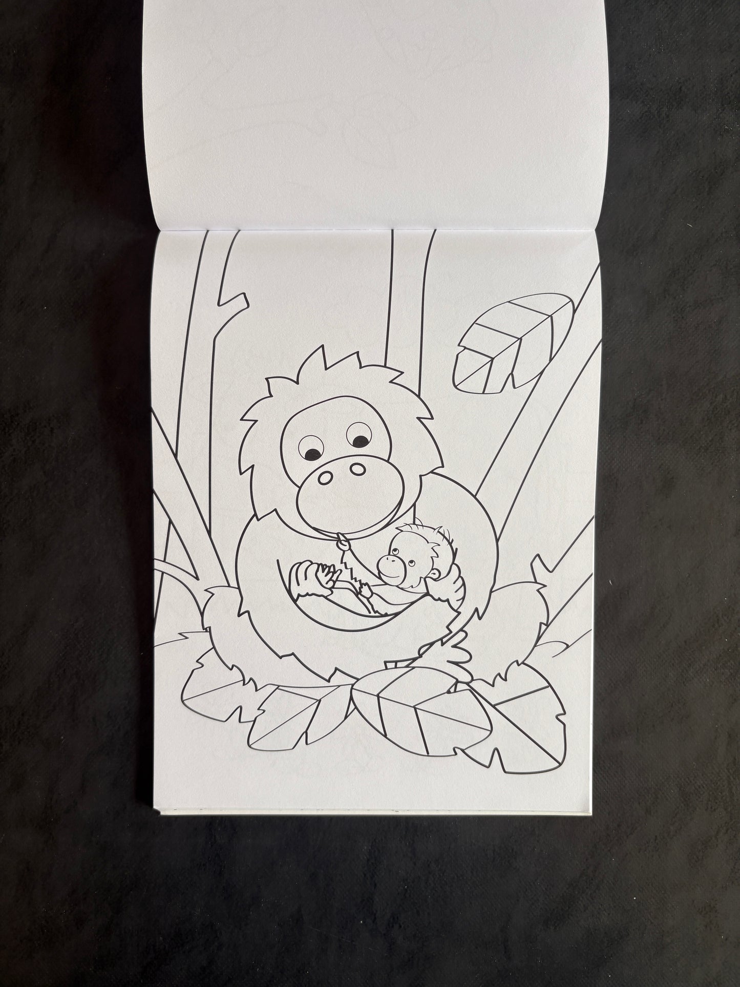 Livre à colorier - Les bébés animaux - Dès 4 ans