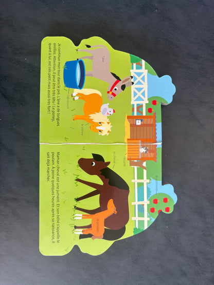 Livre cartonné - à l'aventure avec petite poule