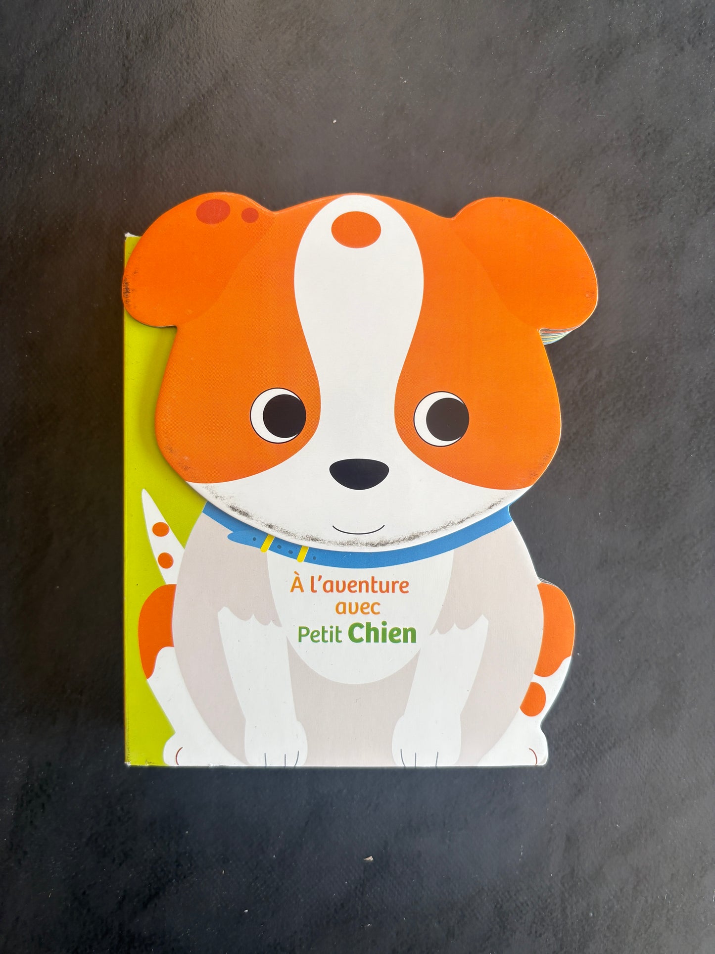 Livre cartonné - à l'aventure avec petit chien