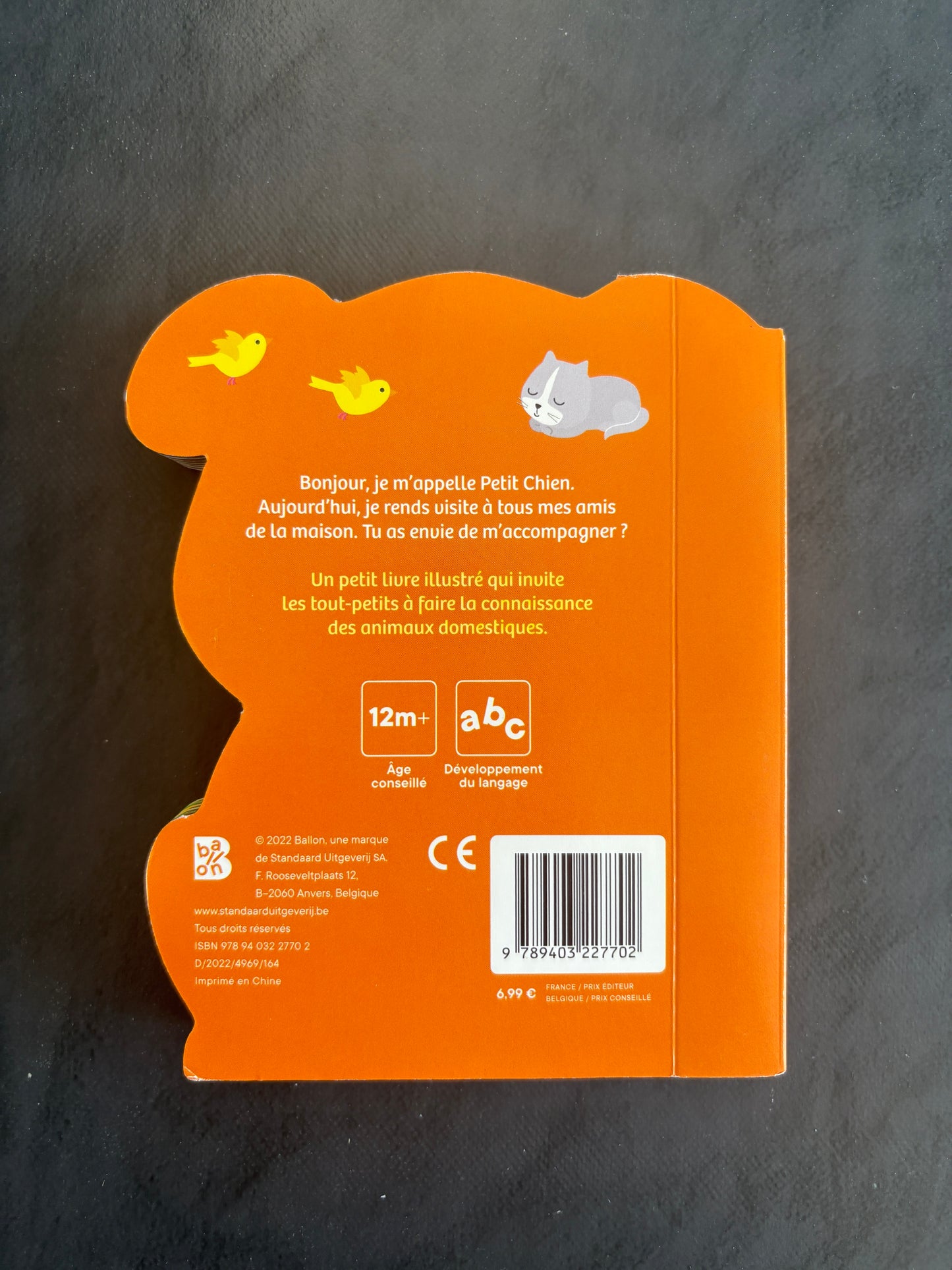 Livre cartonné - à l'aventure avec petit chien