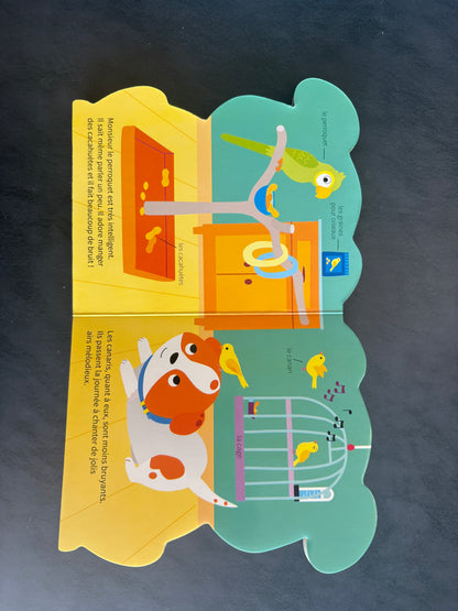 Livre cartonné - à l'aventure avec petit chien